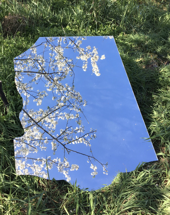 ein zerbrochener Spiegel liegt auf einer grünen Wiese. Im Spiegel spiegelt sich der blaue Himmel und die weißen Blüten eines blühenden Busches