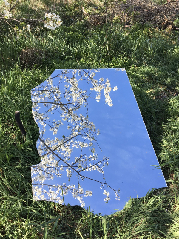 ein zerbrochener Spiegel liegt im grünen Gras un spiegelt den Himmel und die Äste eines weiß blühenden Busches